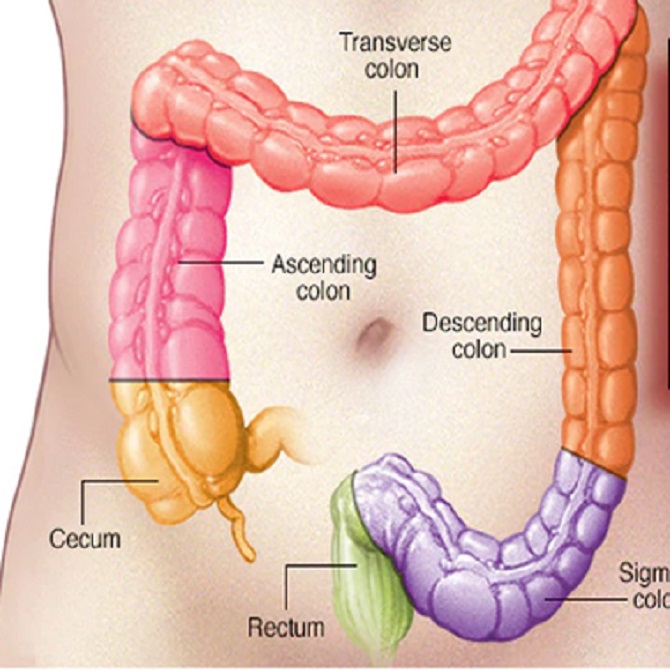 dolorcolon2
