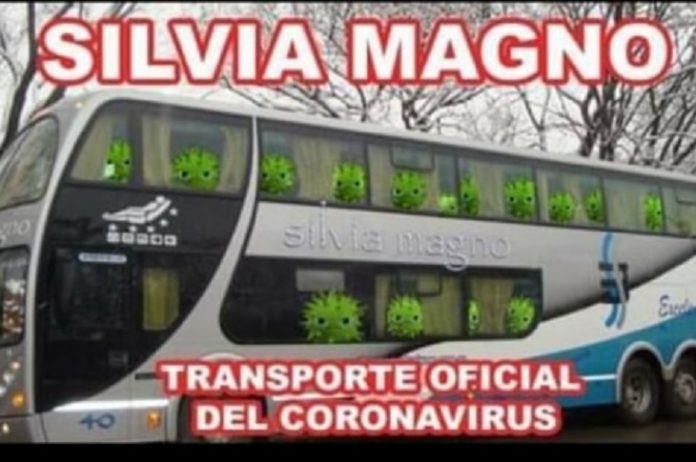SILVIA 1