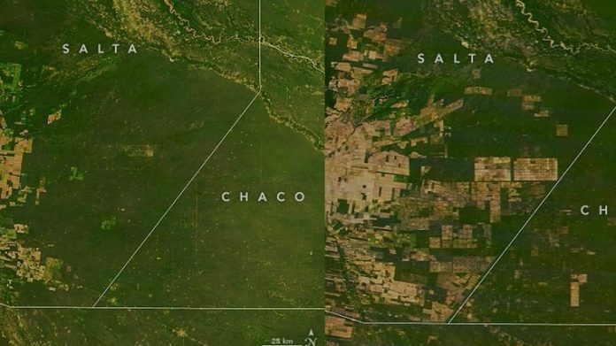 desmontes-en-chaco-nasa