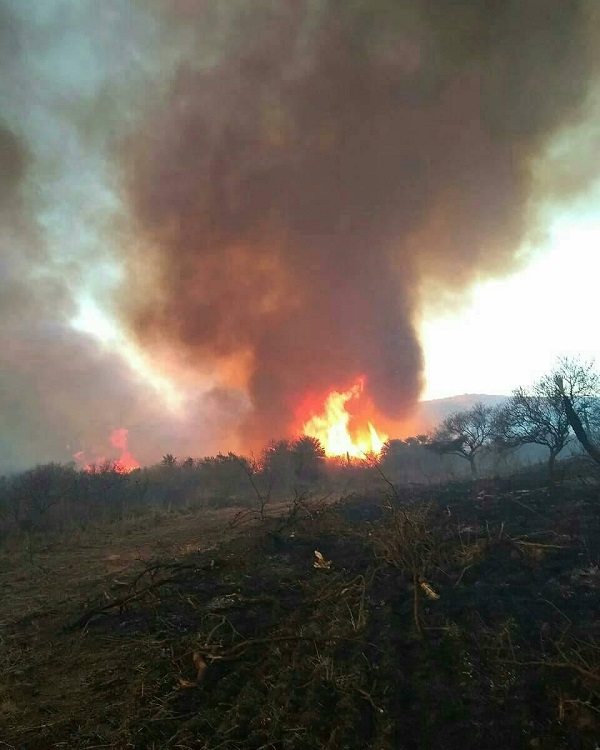 Incendio 1