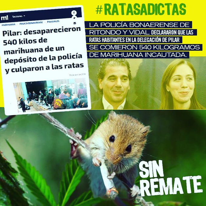 Lo tapas 2