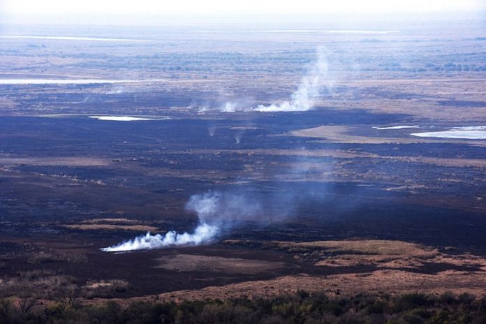 Incendios en el Delta del Paraná