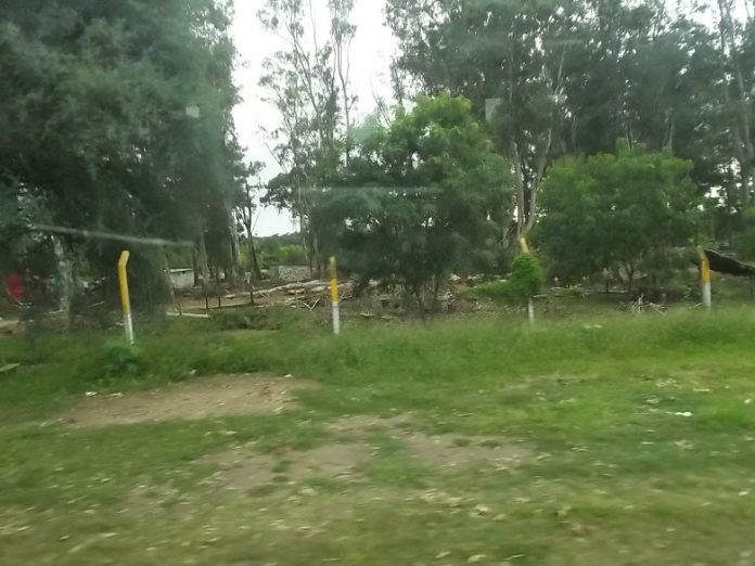 100_9593