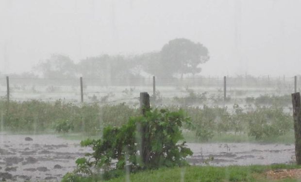 lluvias-campo_agrofy