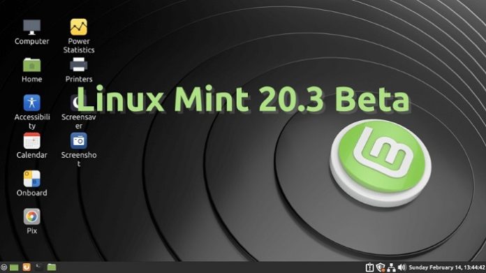 LINUX MINT
