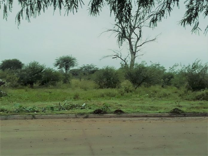 roque
