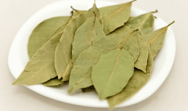 Laurel