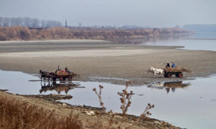 DANUBIO