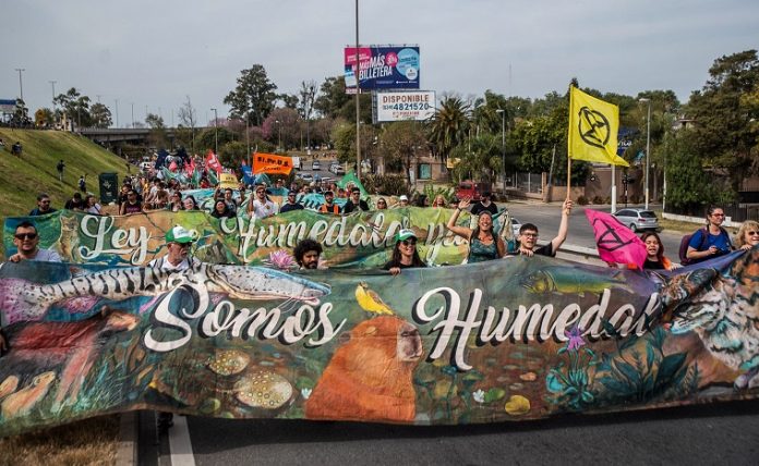 __GPA Acción Humedales Rosario Crédito Eduardo Bodiño Greenpeace (1)