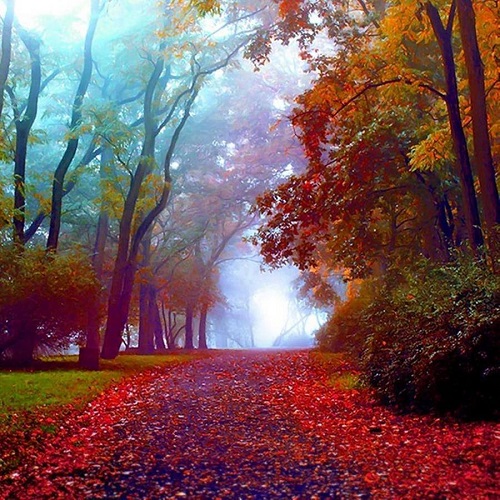 bello parque