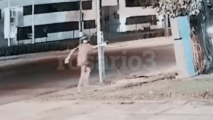 Rosario-3