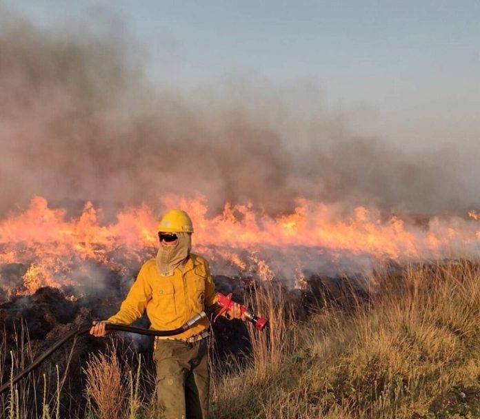 Incendios 1