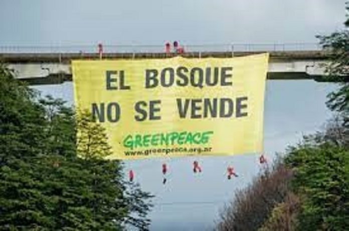 Bosques