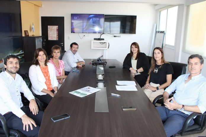 Salta-Becas